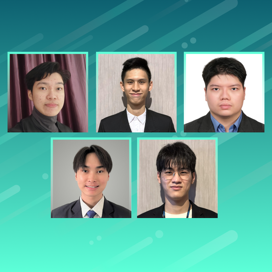 Team VeraxAI